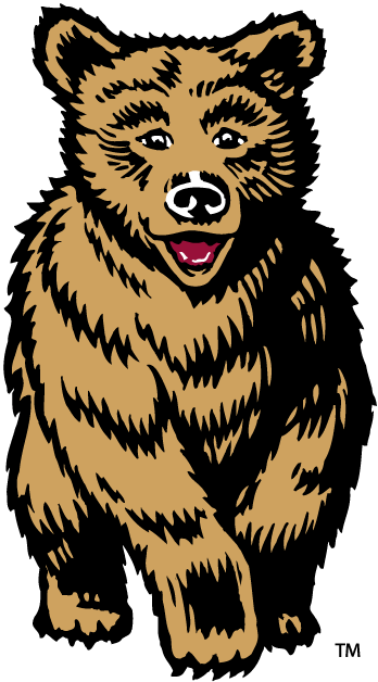 Montana Grizzlies 1996-2009 Mascot Logo iron on transfers for T-shirts